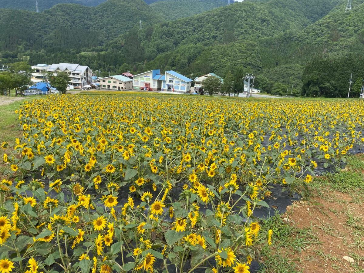 花緑里-Hanamidori-乙原のやど 岐阜下呂温泉郡上飛騨金山湖畔リゾート غوجو المظهر الخارجي الصورة